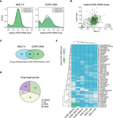 Synthetic oleanane triterpenoids suppress MYB oncogene activity and sensitize T-cell acute lymphoblastic leukemia cells to chemotherapy